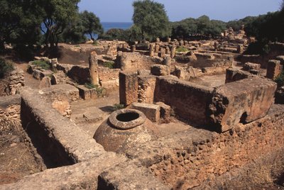 Ansicht des Geländes von Roman